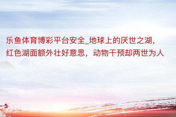 乐鱼体育博彩平台安全_地球上的厌世之湖，红色湖面额外壮好意思，动物干预却两世为人